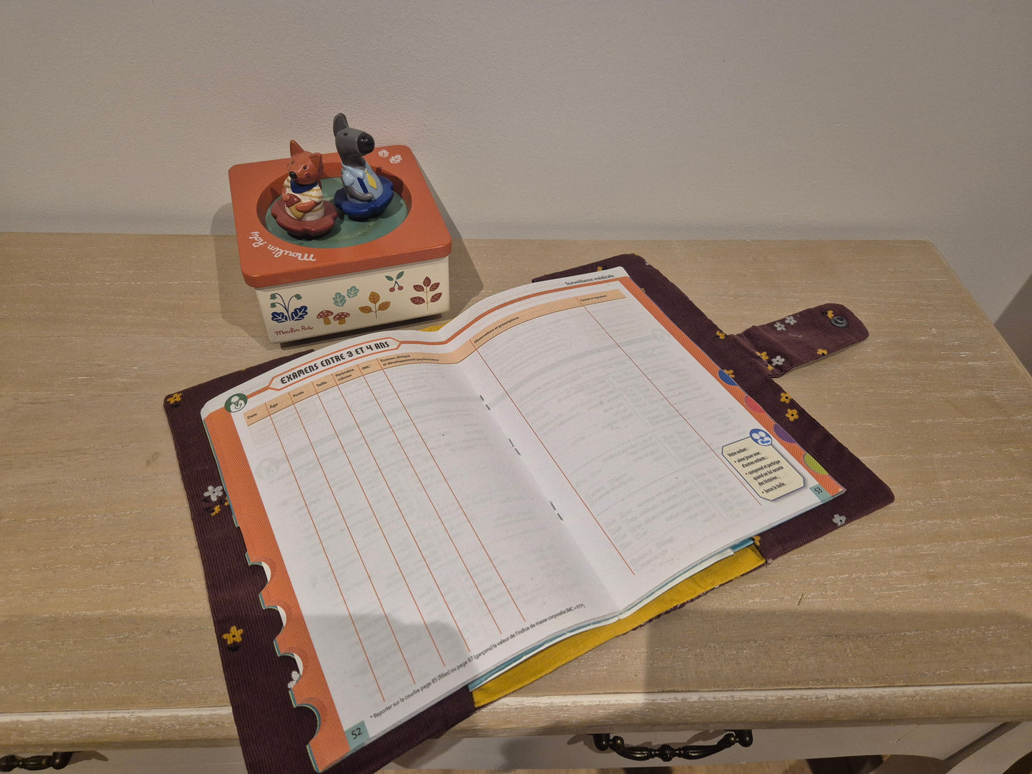 Protege carnet de santé